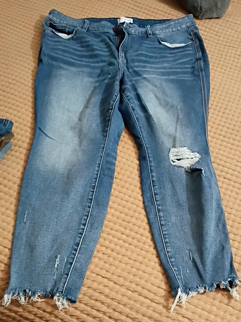 Lane Bryant Blue Distressed Boyfriend Jeans with Frayed Hem